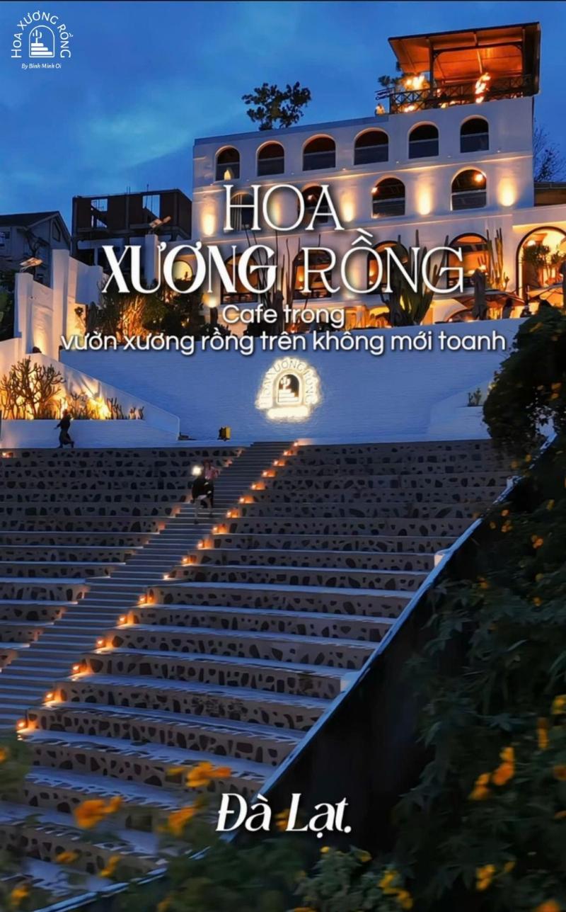 Quán cà phê đẹp ở Đà Lạt view đêm, thành phố lung linh ánh đèn từ trên cao